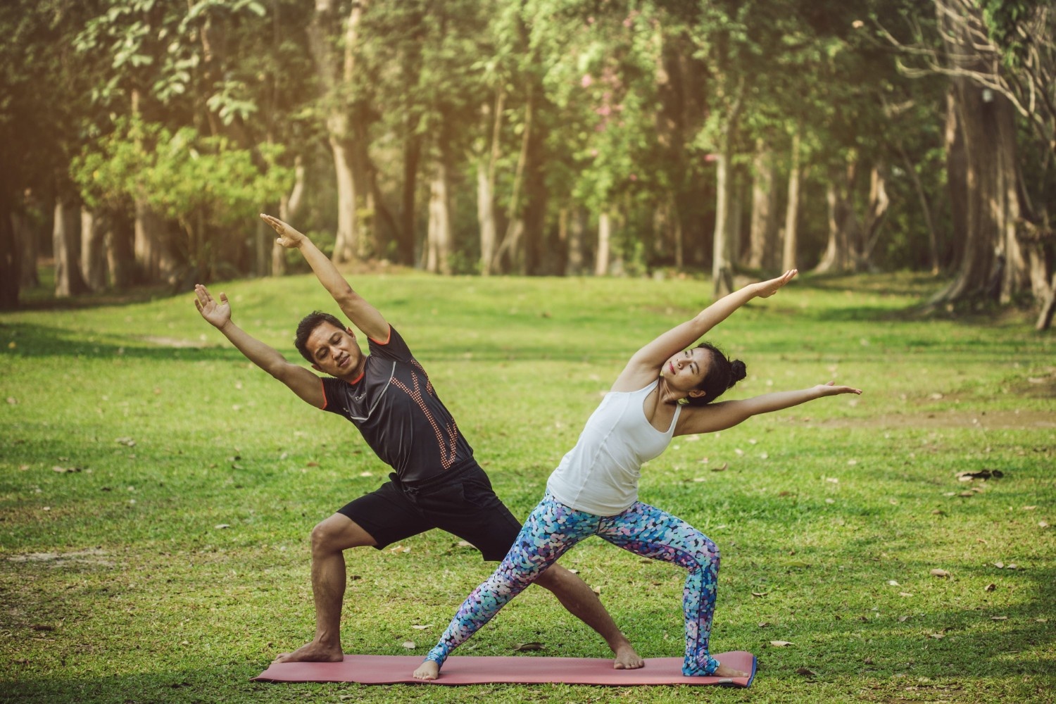 Luxury Wellness Setup for Corporates